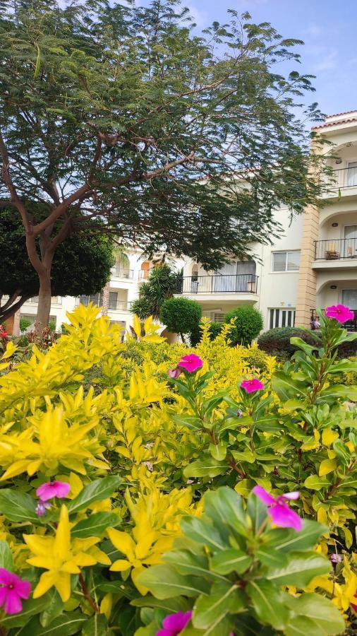 Fantastic 4 Cyprus First Line Beachfront Boghaz Exterior photo